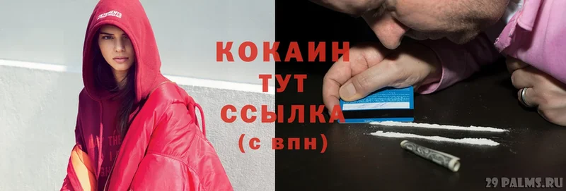 как найти закладки  кракен онион  Cocaine Fish Scale  Высоцк 