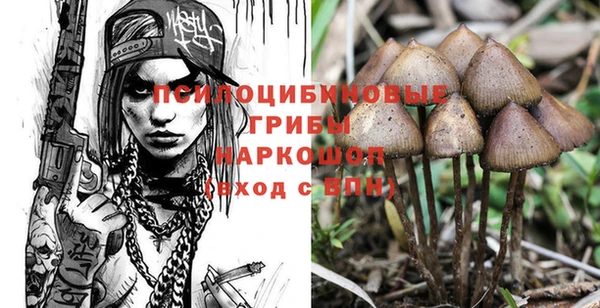 PSILOCYBIN Дмитриев