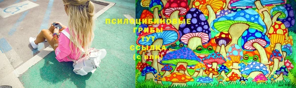 COCAINE Богданович