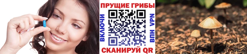 ссылка на мегу как войти  Высоцк  Галлюциногенные грибы мухоморы  как найти закладки 